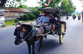 pict (67)